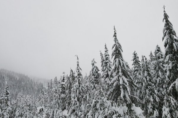 How Does the Use of Weighted Blankets Affect Sleep Quality in Adults with ADHD?